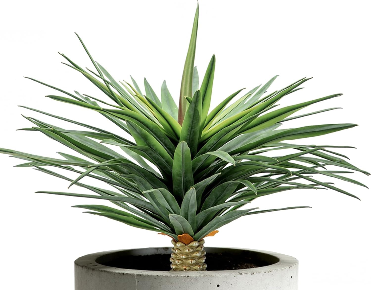 Saki Décor Artificial Agave Plant - 24 Inch UV Resistant Faux Agave Succulent for Outdoor Patio & Garden - Lifelike Medium Size Unpotted Fake Plant for Indoor Home Decor (Green)